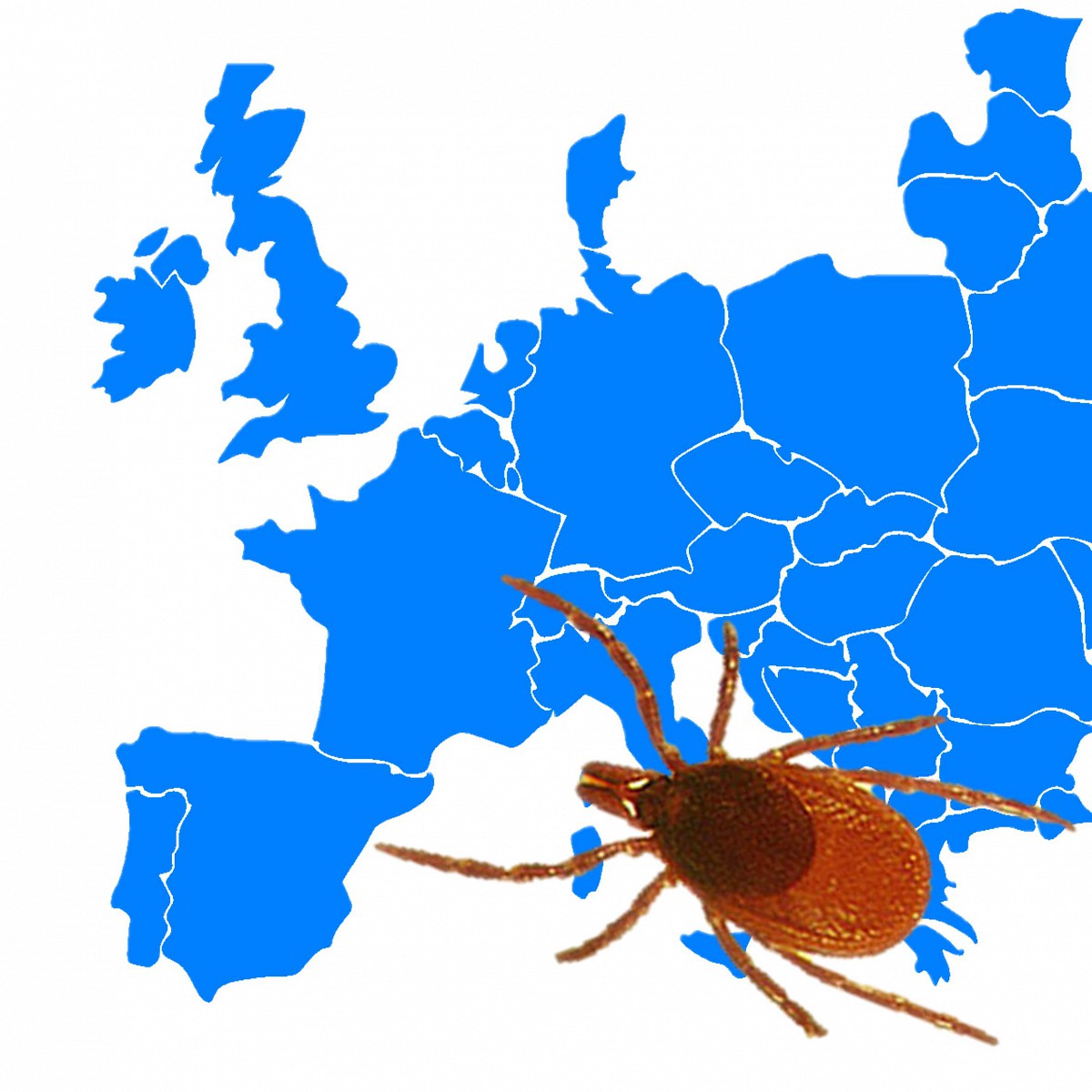 kliste-evropa2.jpg