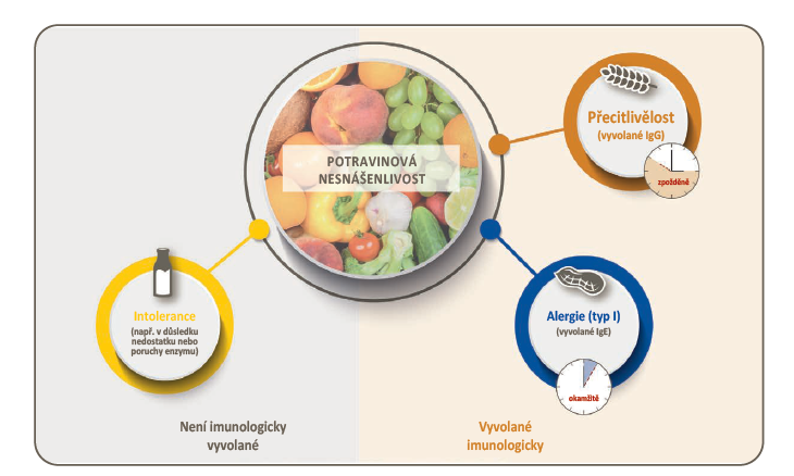 Potravinová intolerance vs potravinová alergie